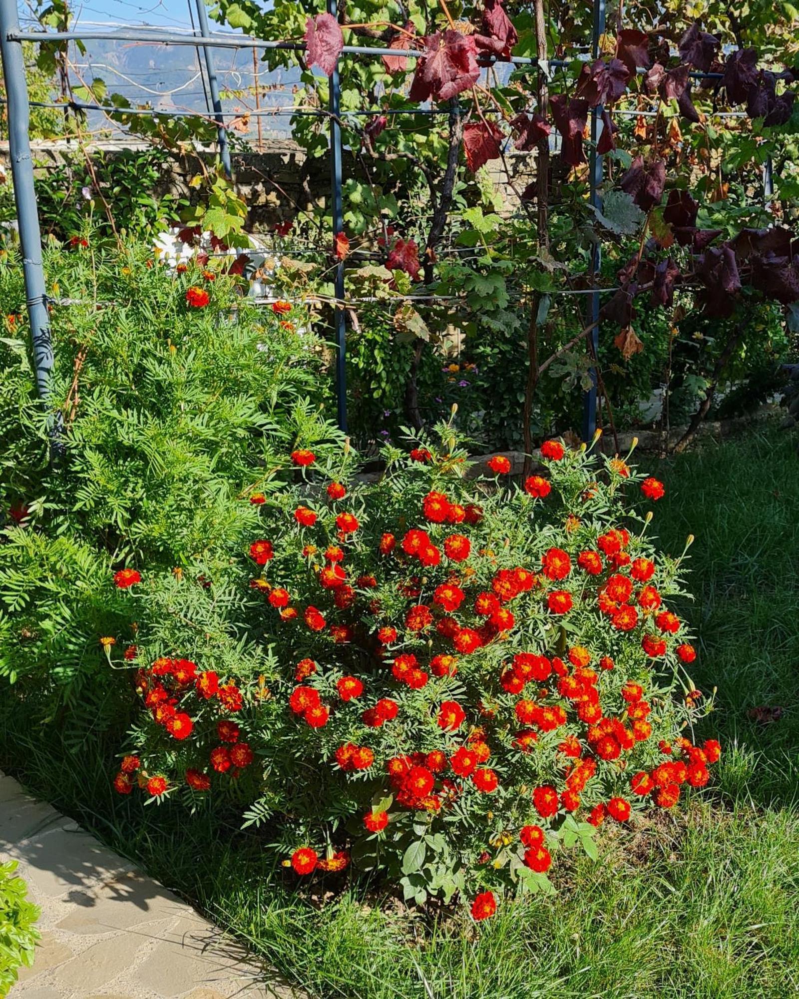 Garden Guest House Përmet Eksteriør bilde